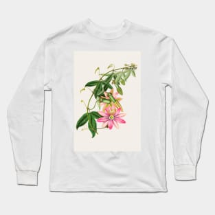 Passiflora pinnatistipula - Botanical Illustration Long Sleeve T-Shirt